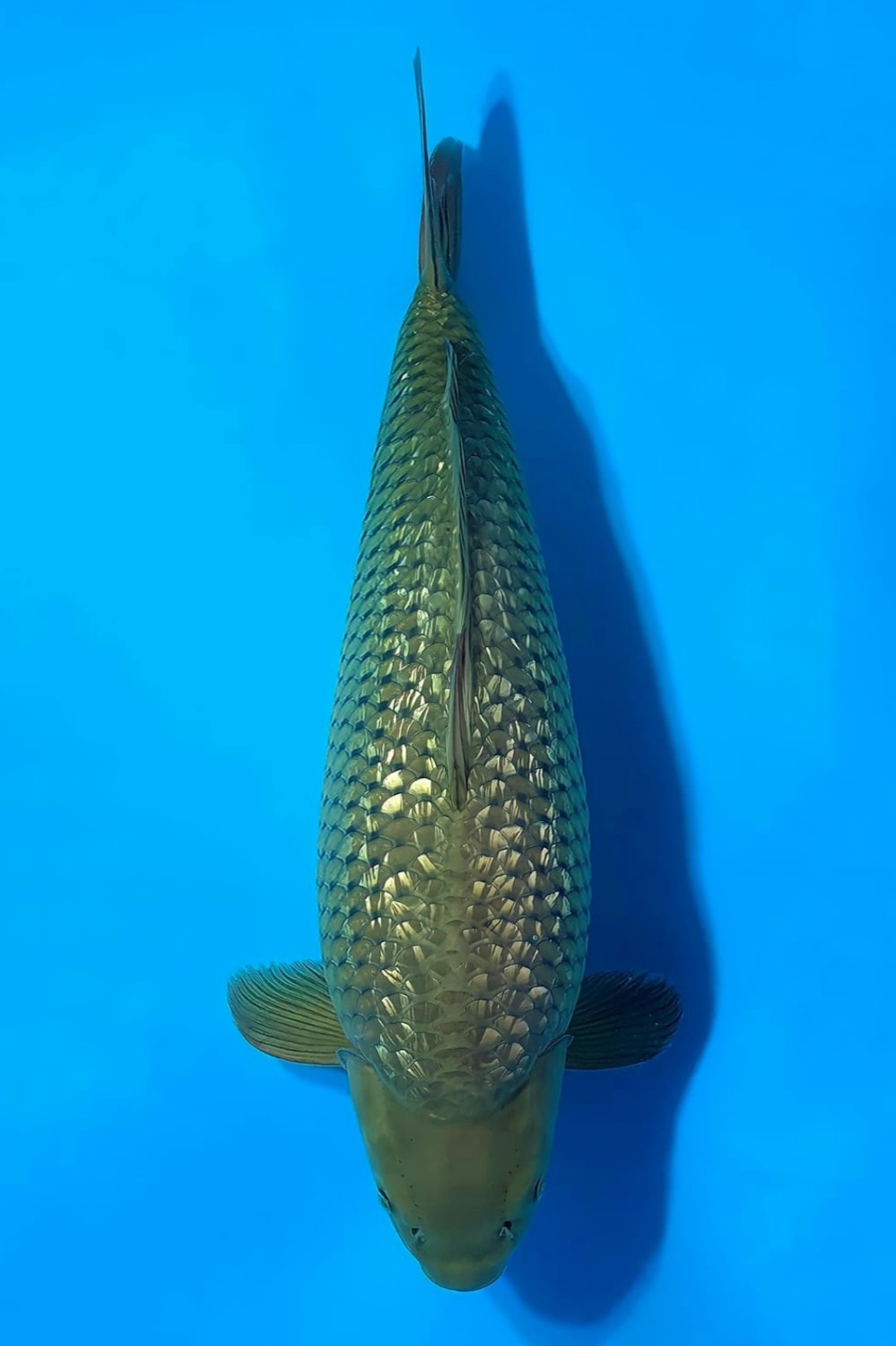 Juara 2