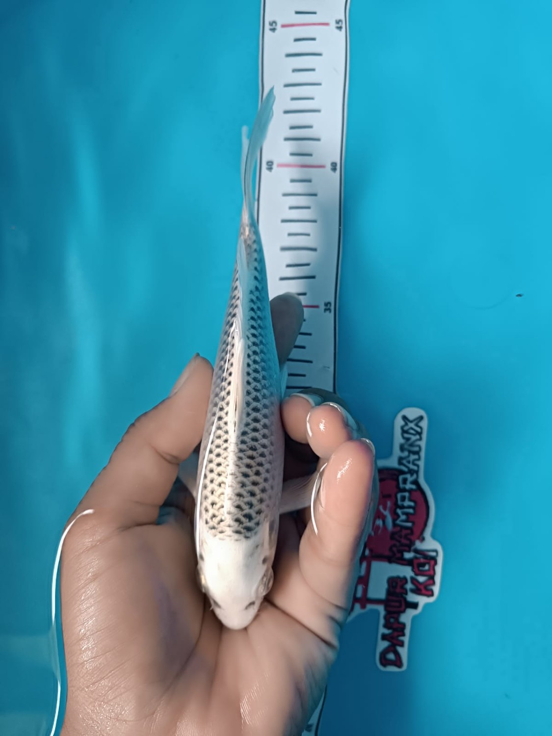 Juara 1