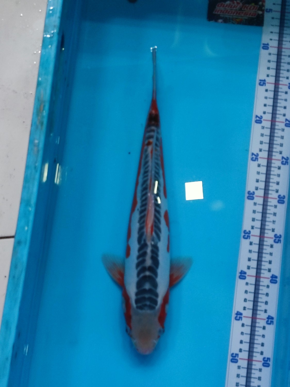 Juara 2
