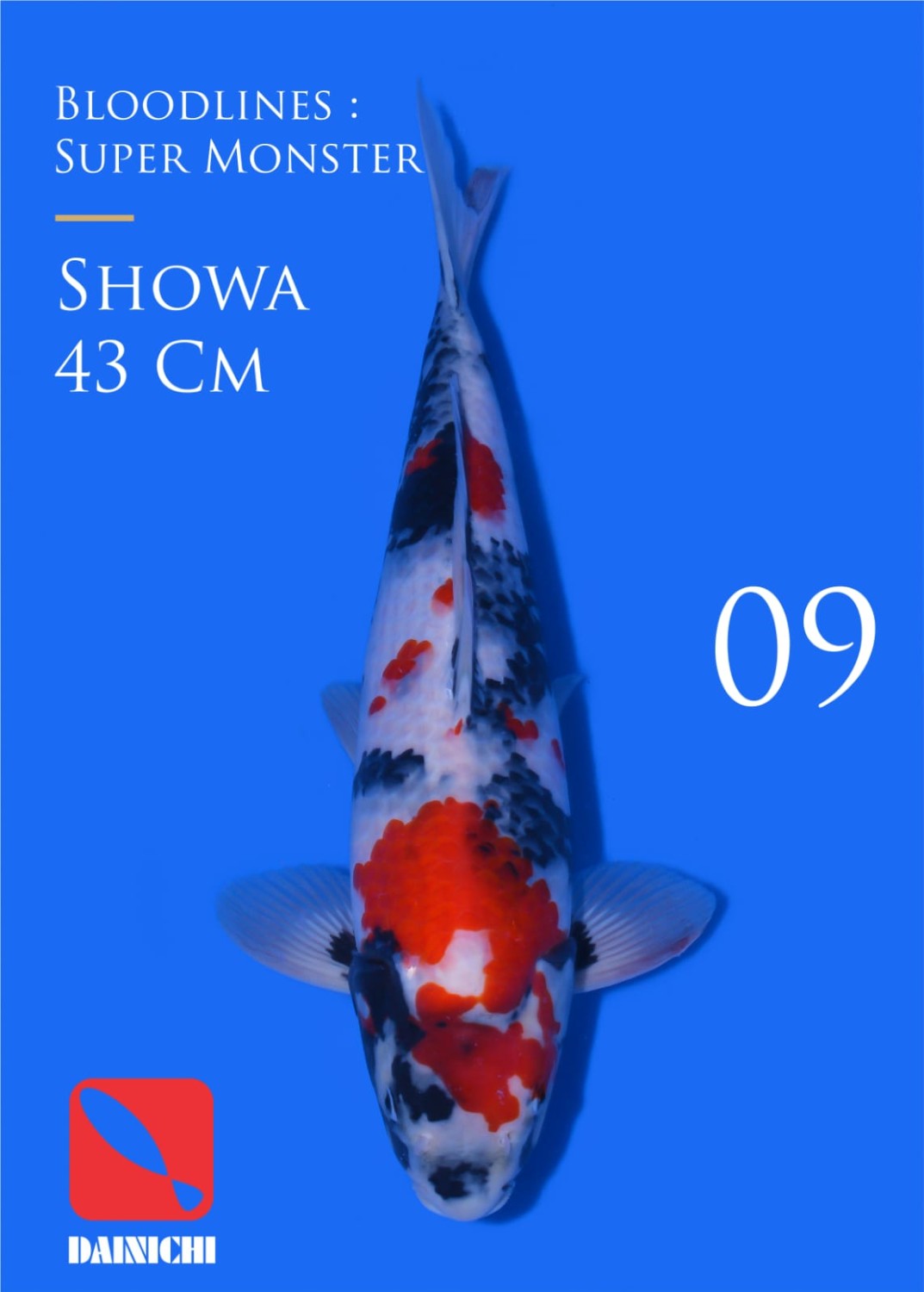 Juara 1