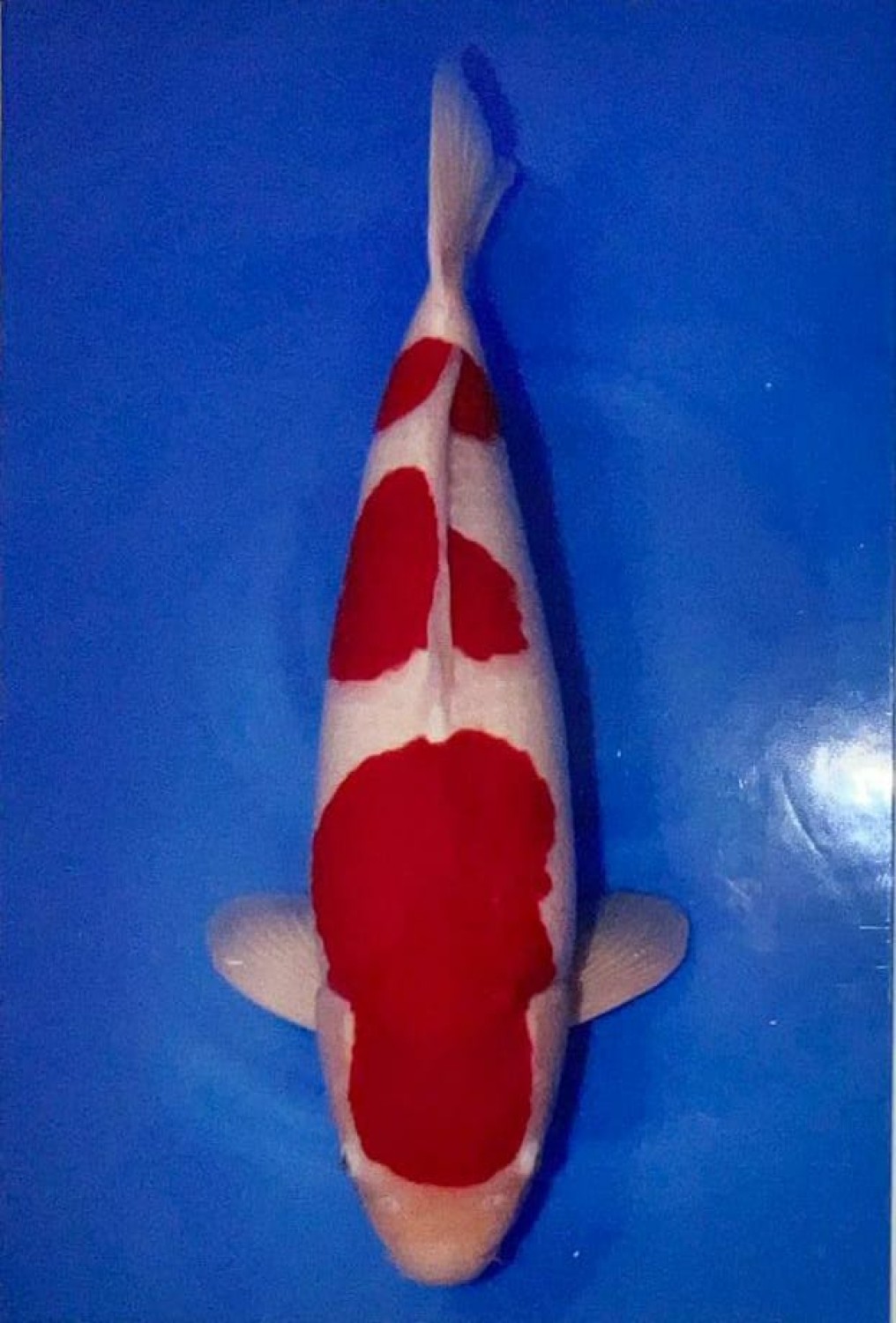 Juara 2