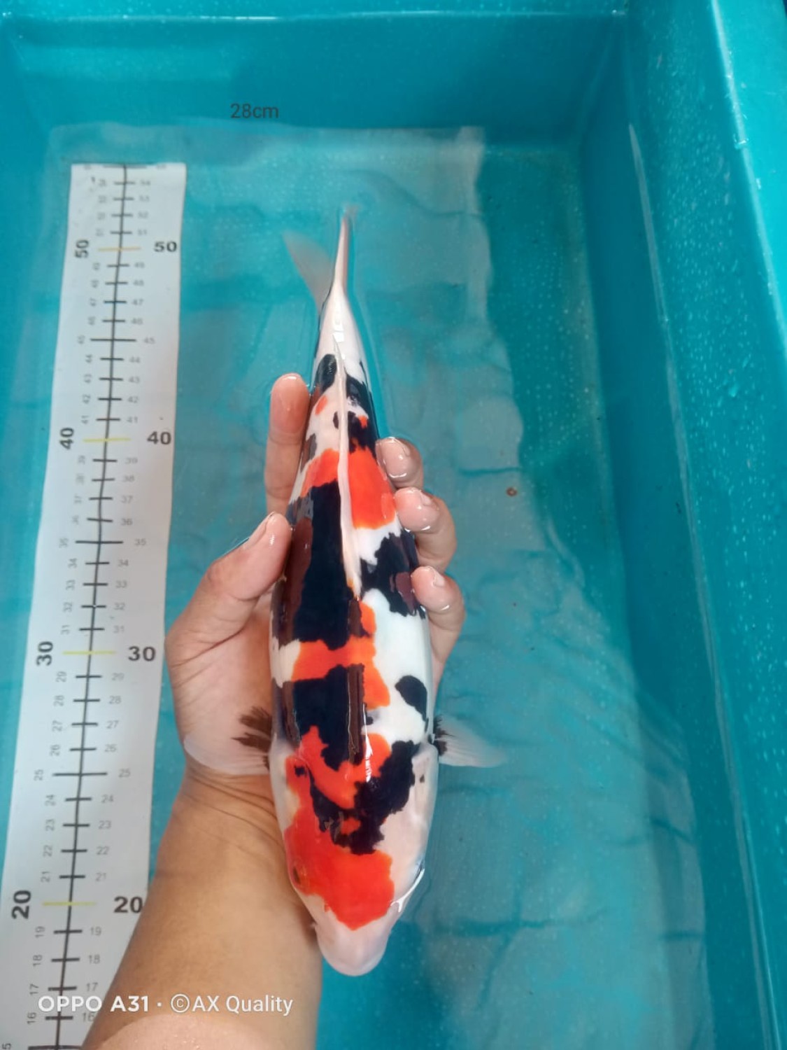 Juara 1