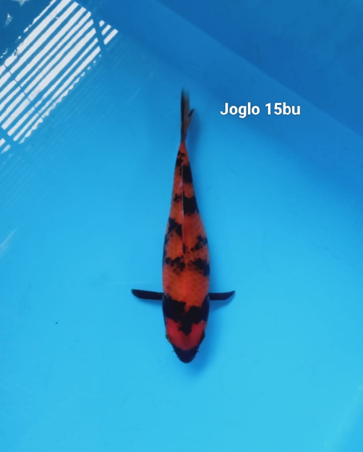 Juara 2