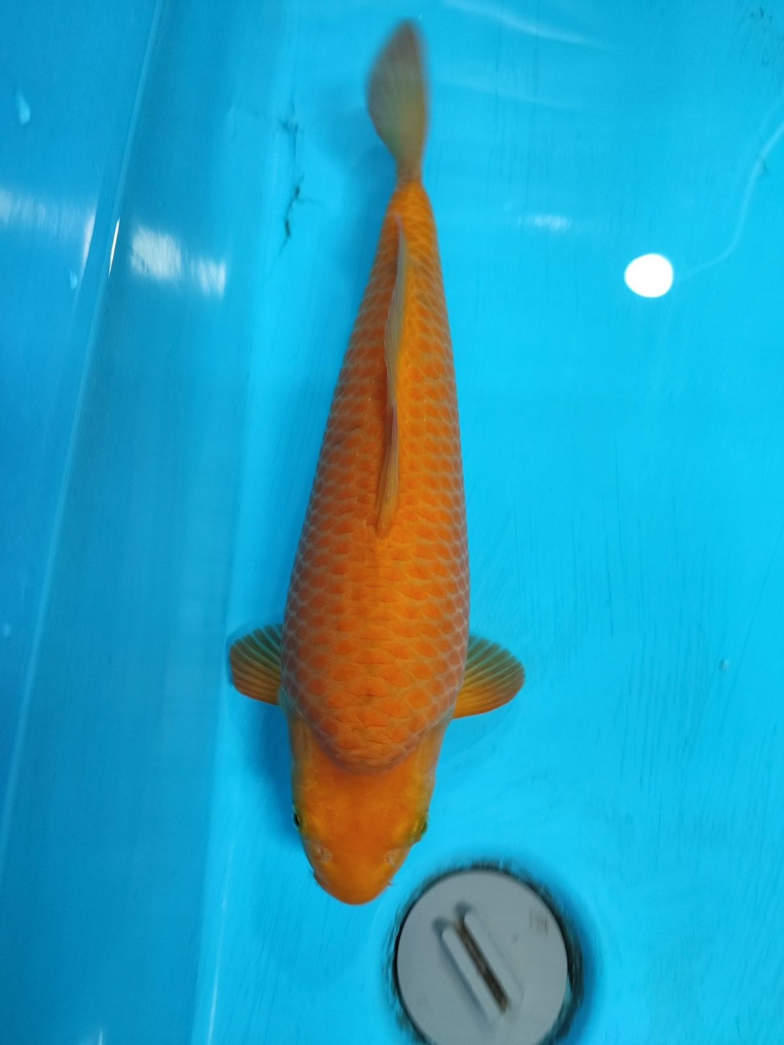 Juara 2