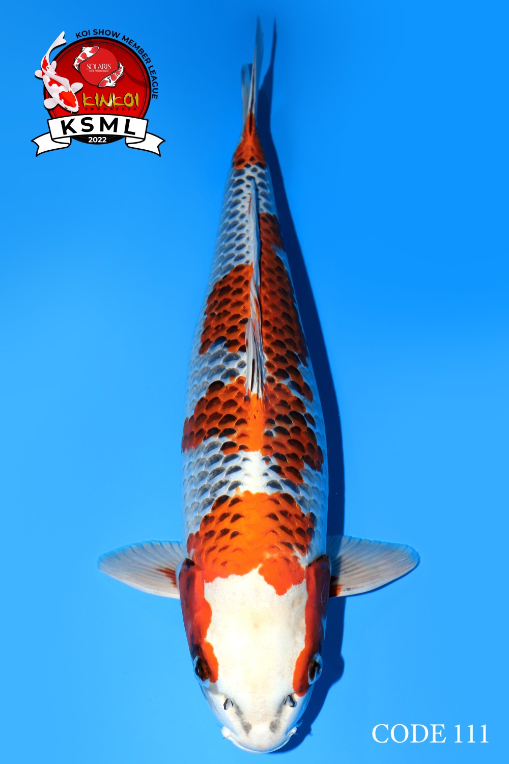 Juara 1