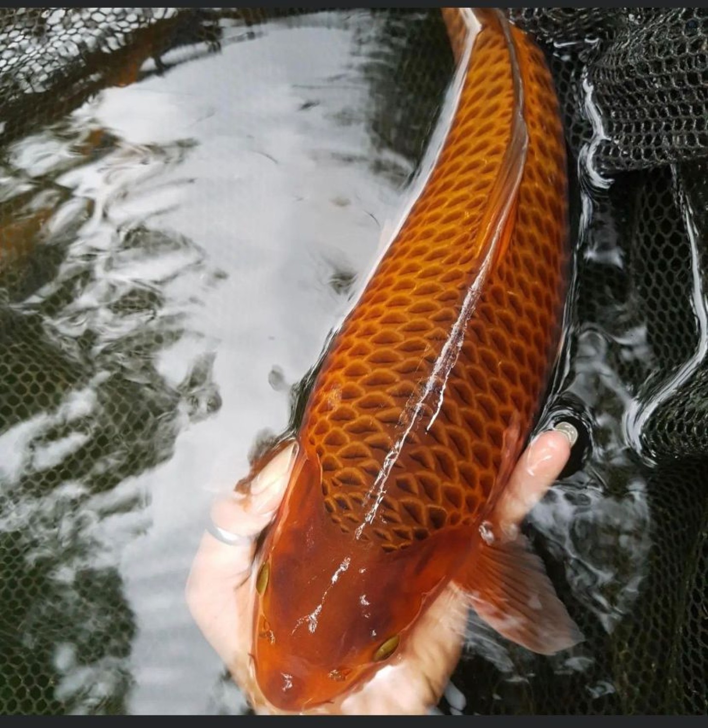 Juara 4