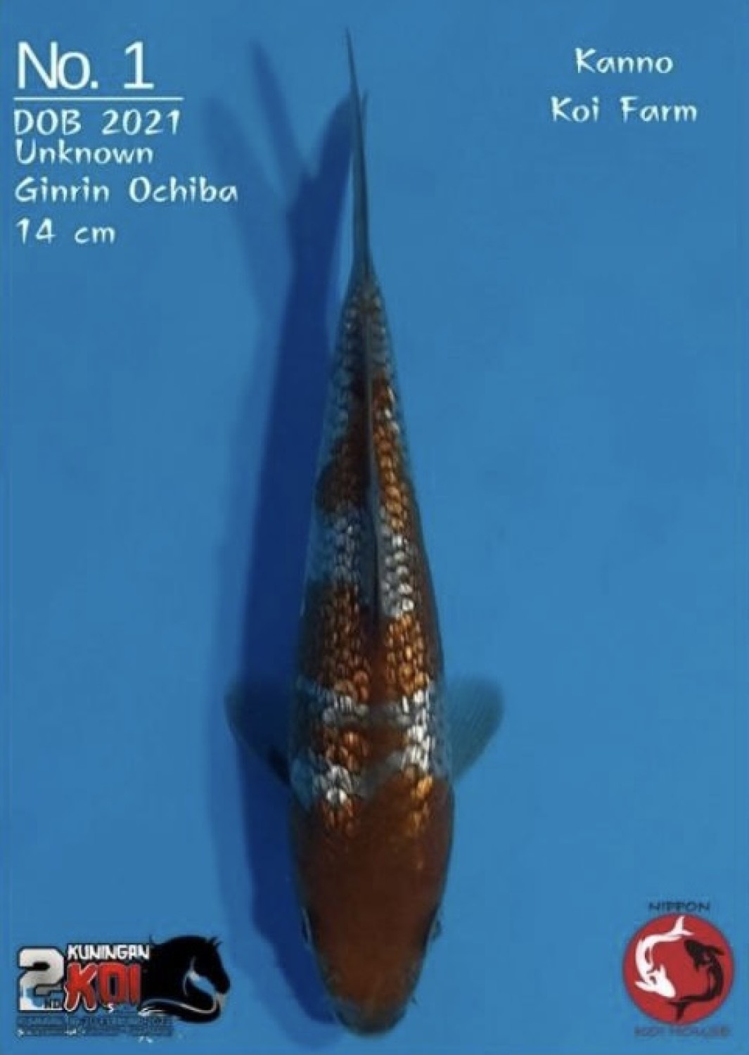 Juara 2