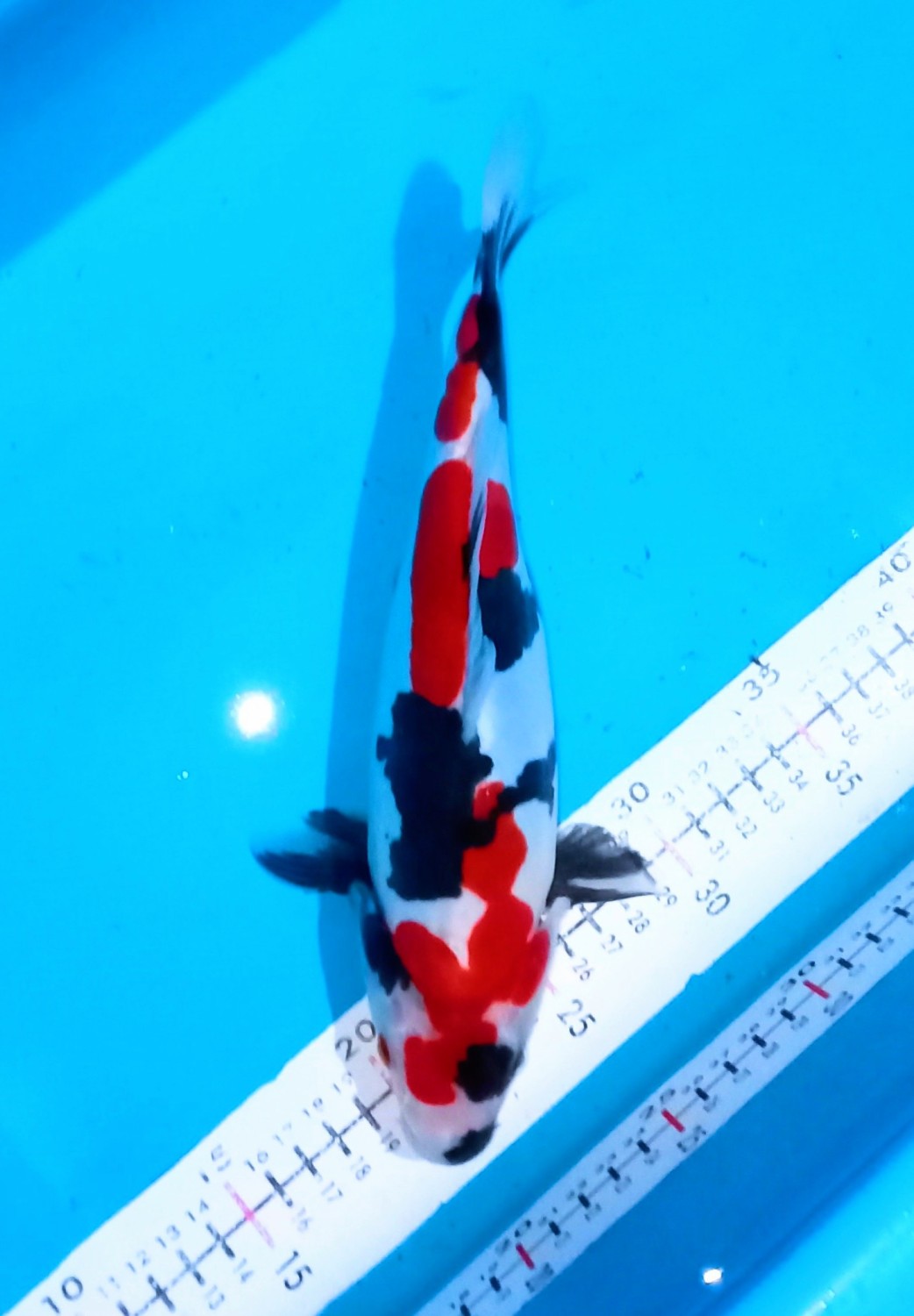 Juara 2
