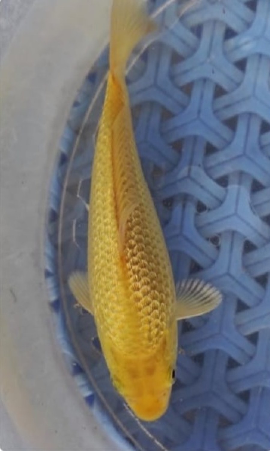 Juara 2