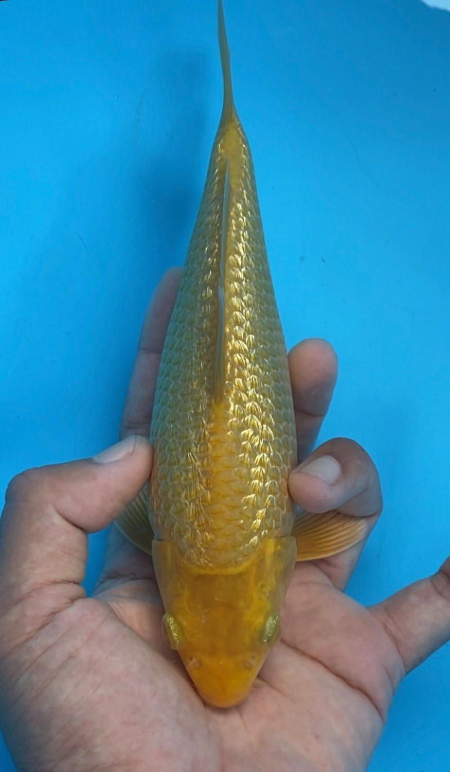 Juara 4