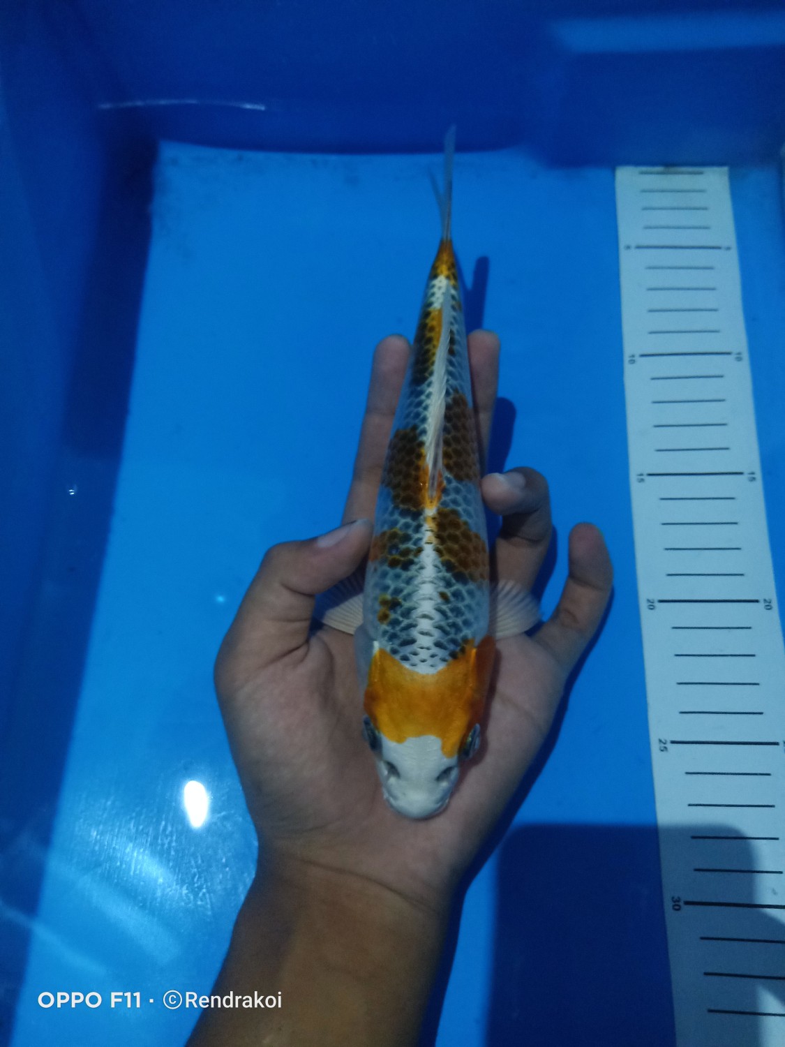 Juara 4