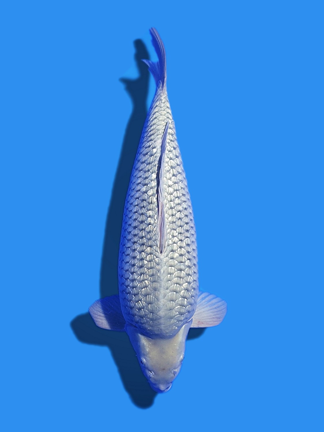 Juara 4