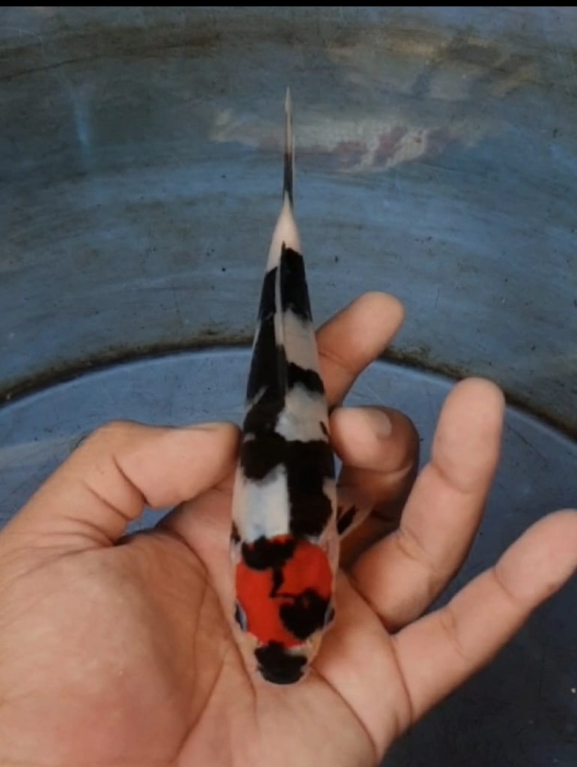Juara 2