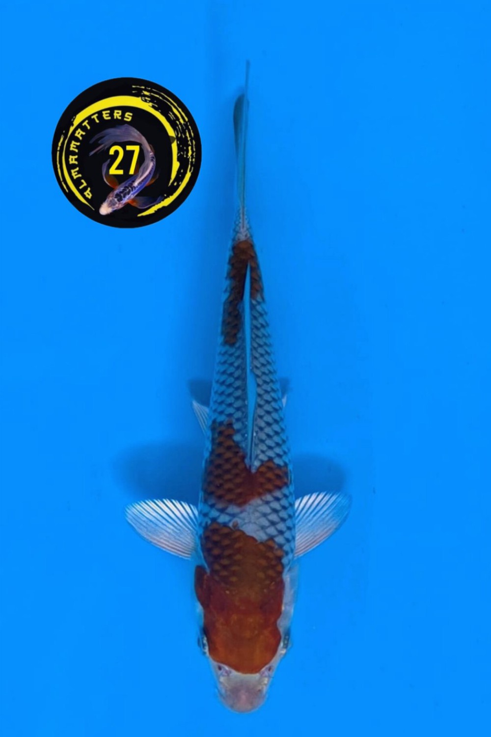 Juara 3