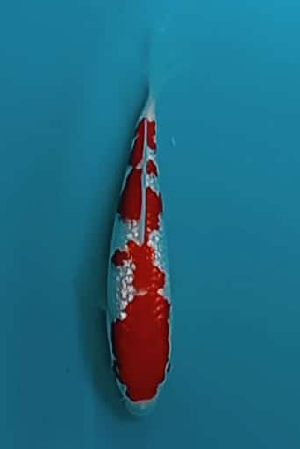 Best In Size B 1 - 12 cm