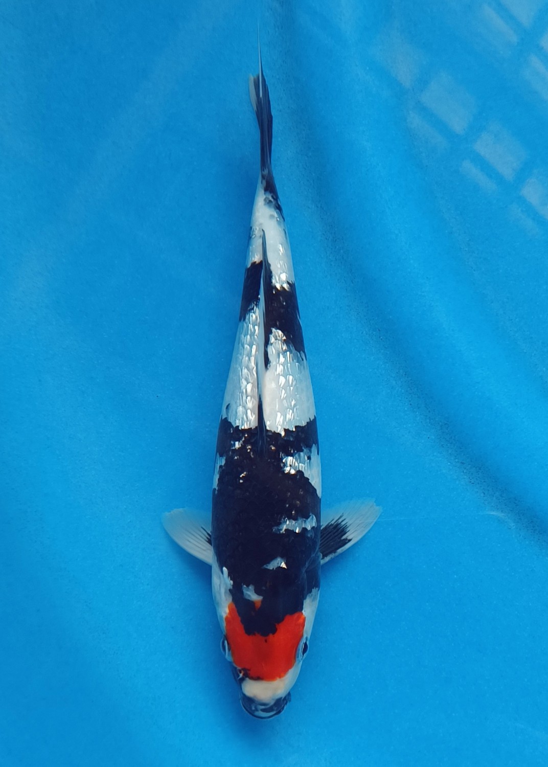 Juara 2