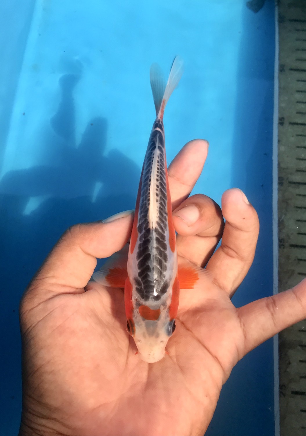 Juara 2