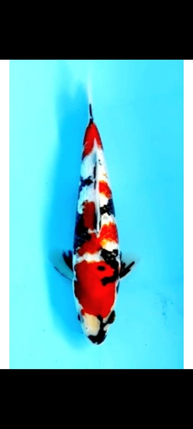 Juara 2