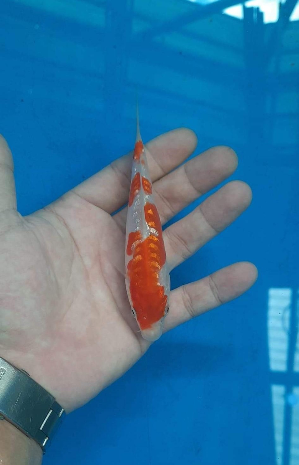 Best In Size F Up To 12 cm
