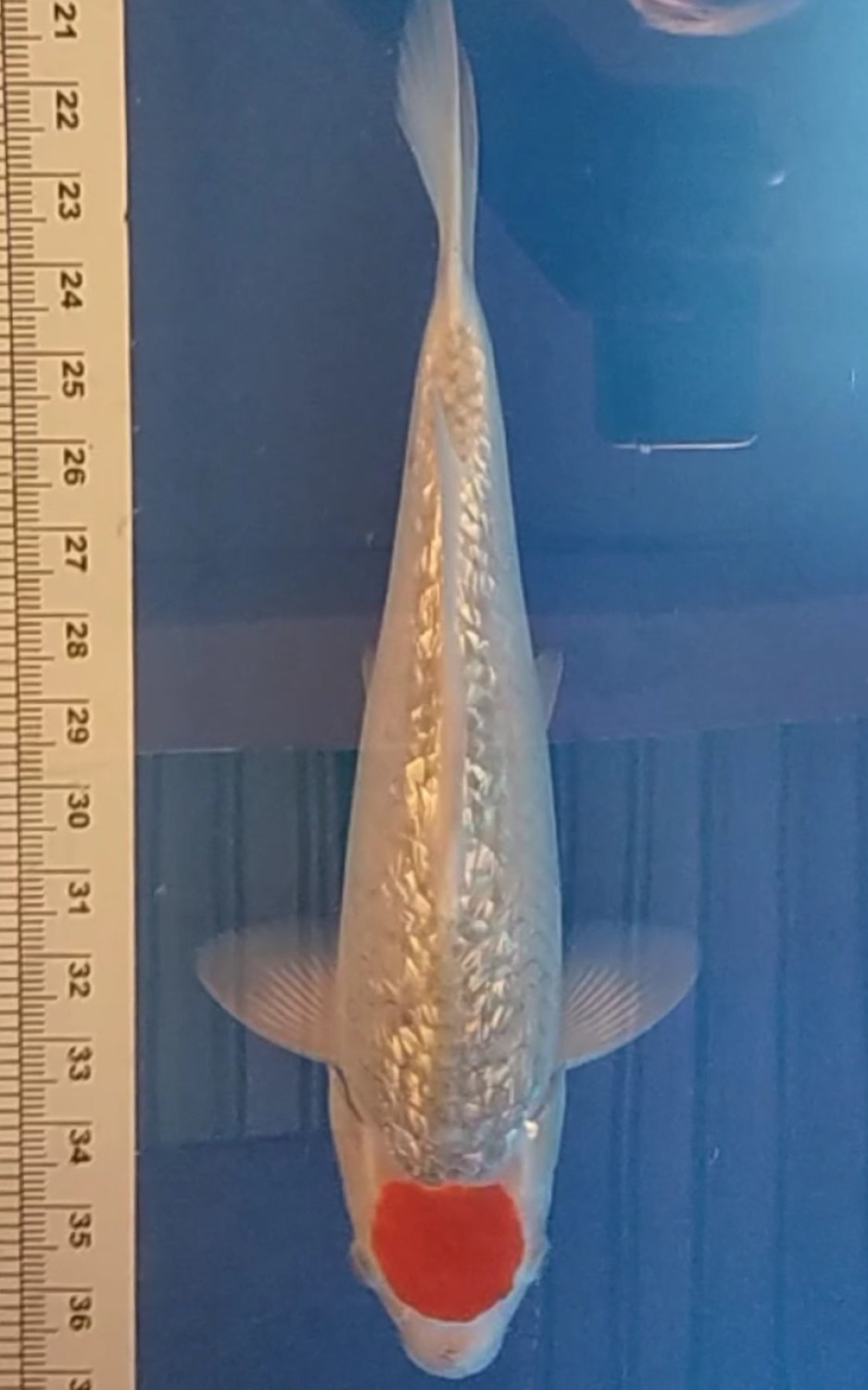 Juara 2