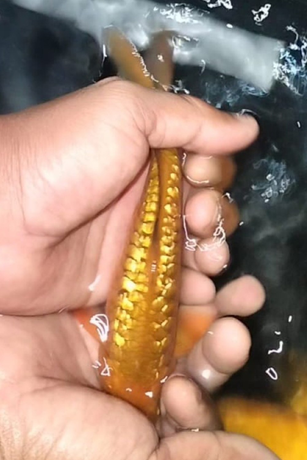 Juara 1