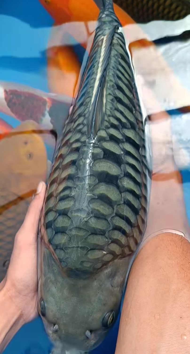 Juara 1