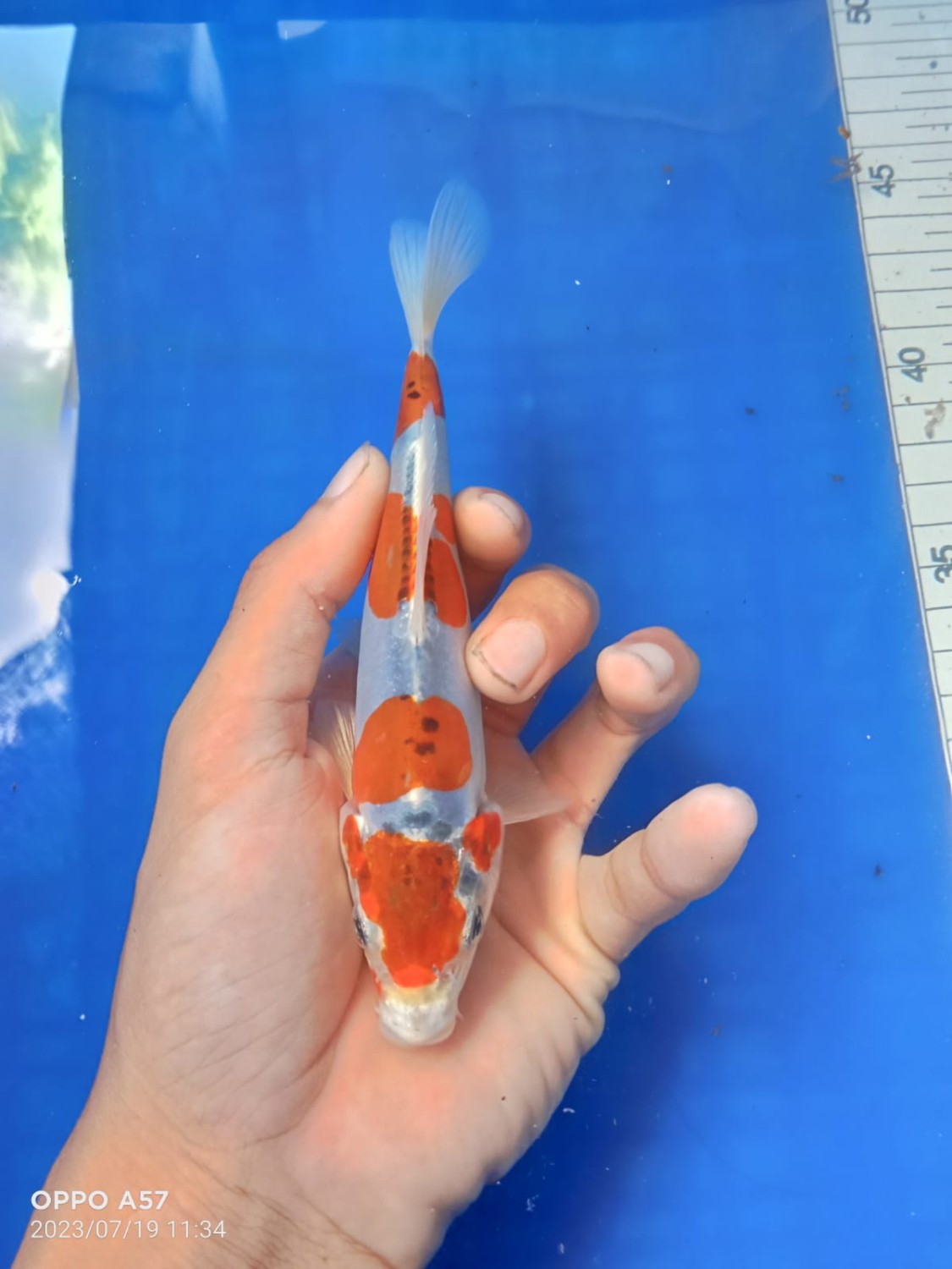 Juara 1