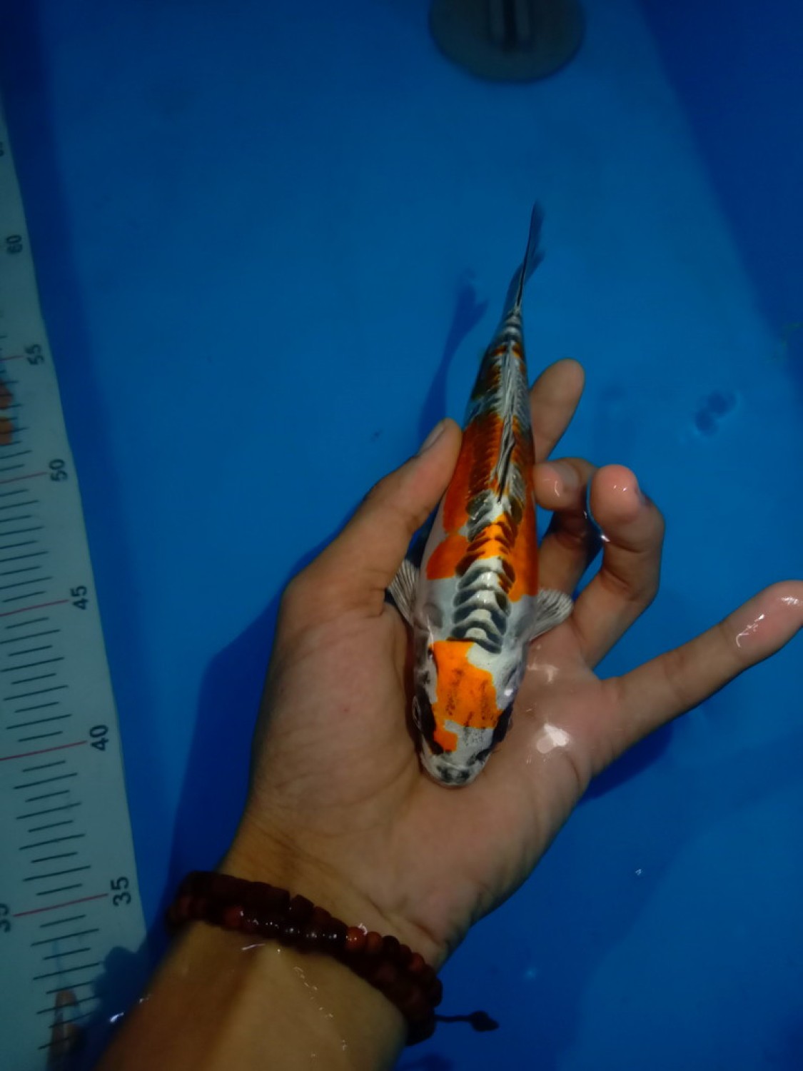 Juara 1