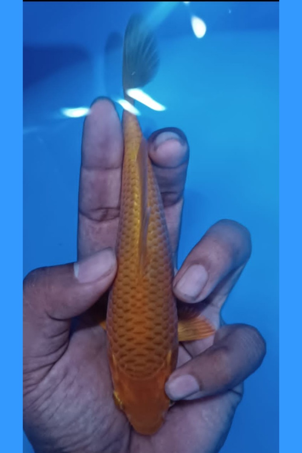 Juara 1
