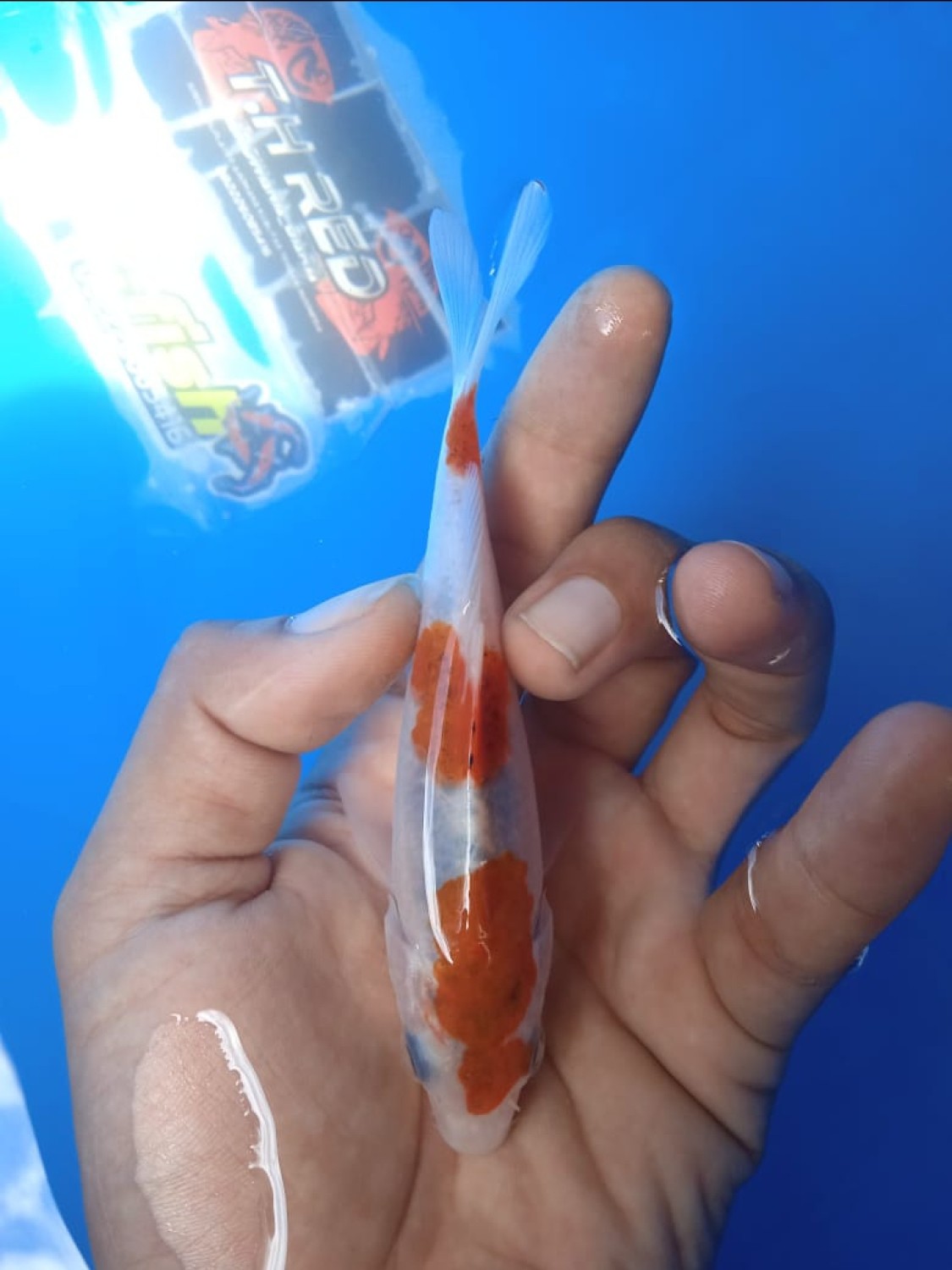 Juara 4