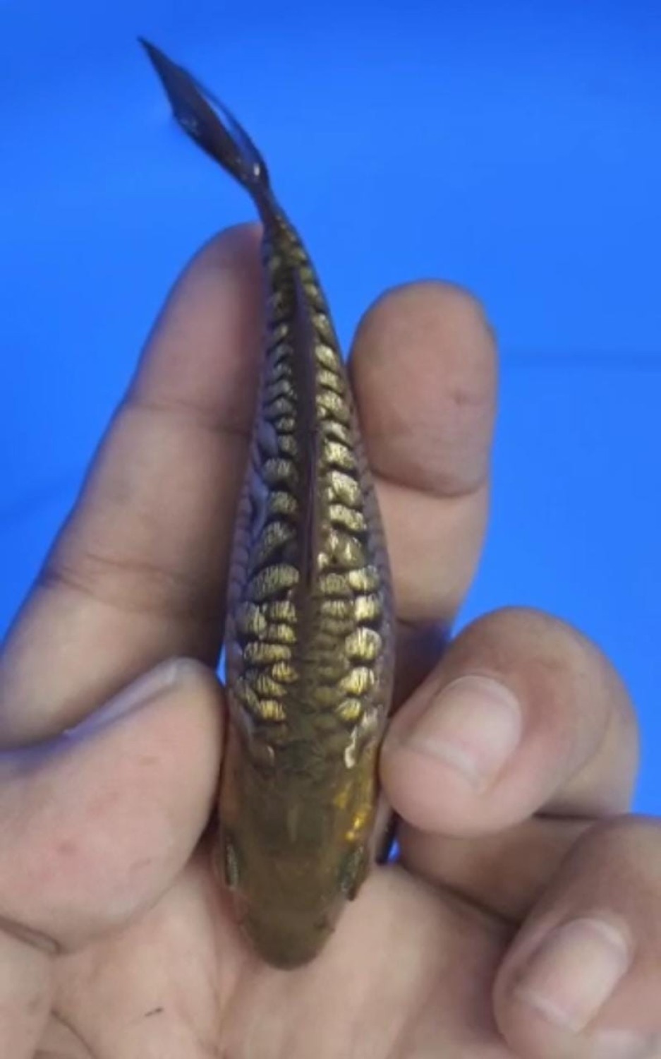 Juara 1