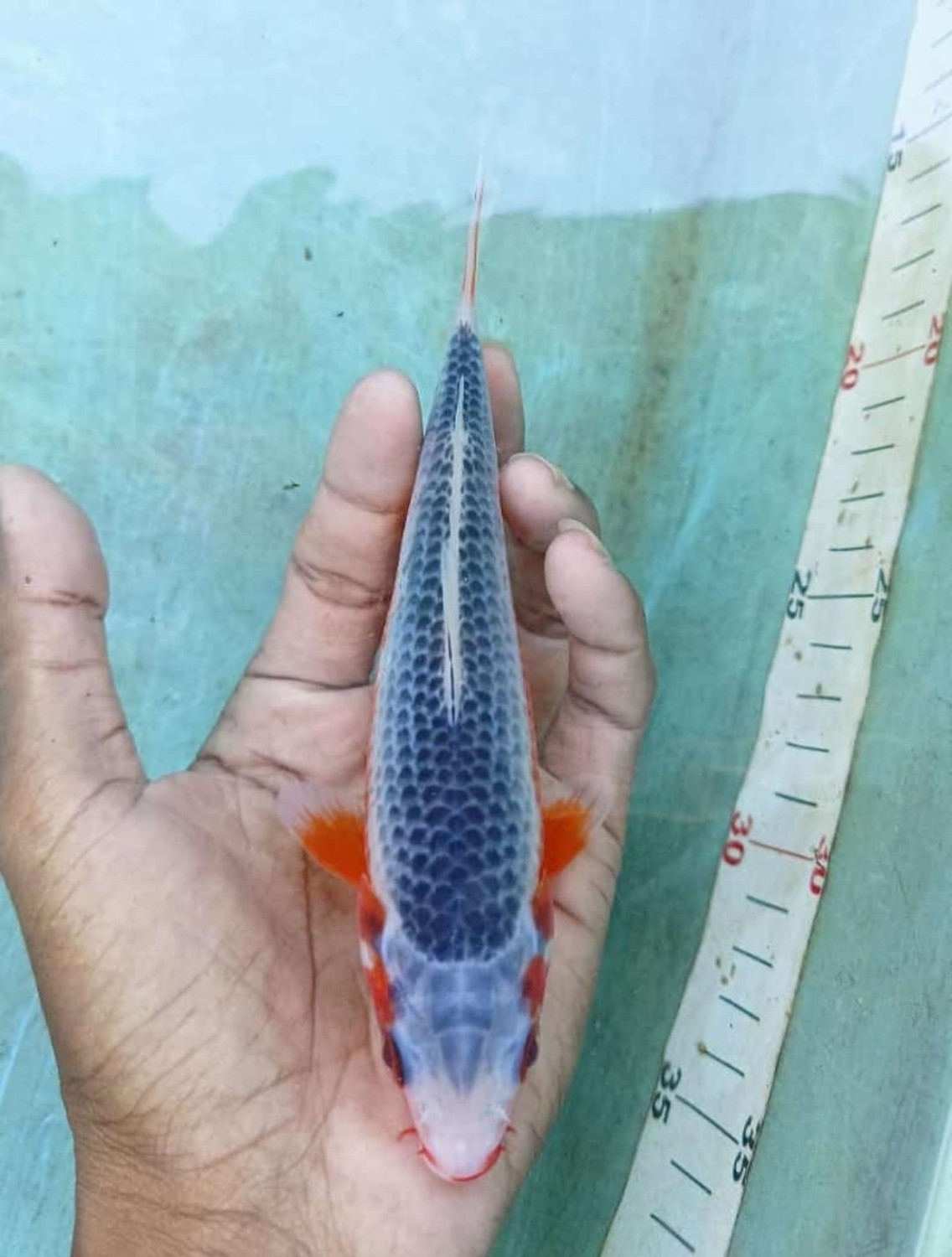 Juara 2