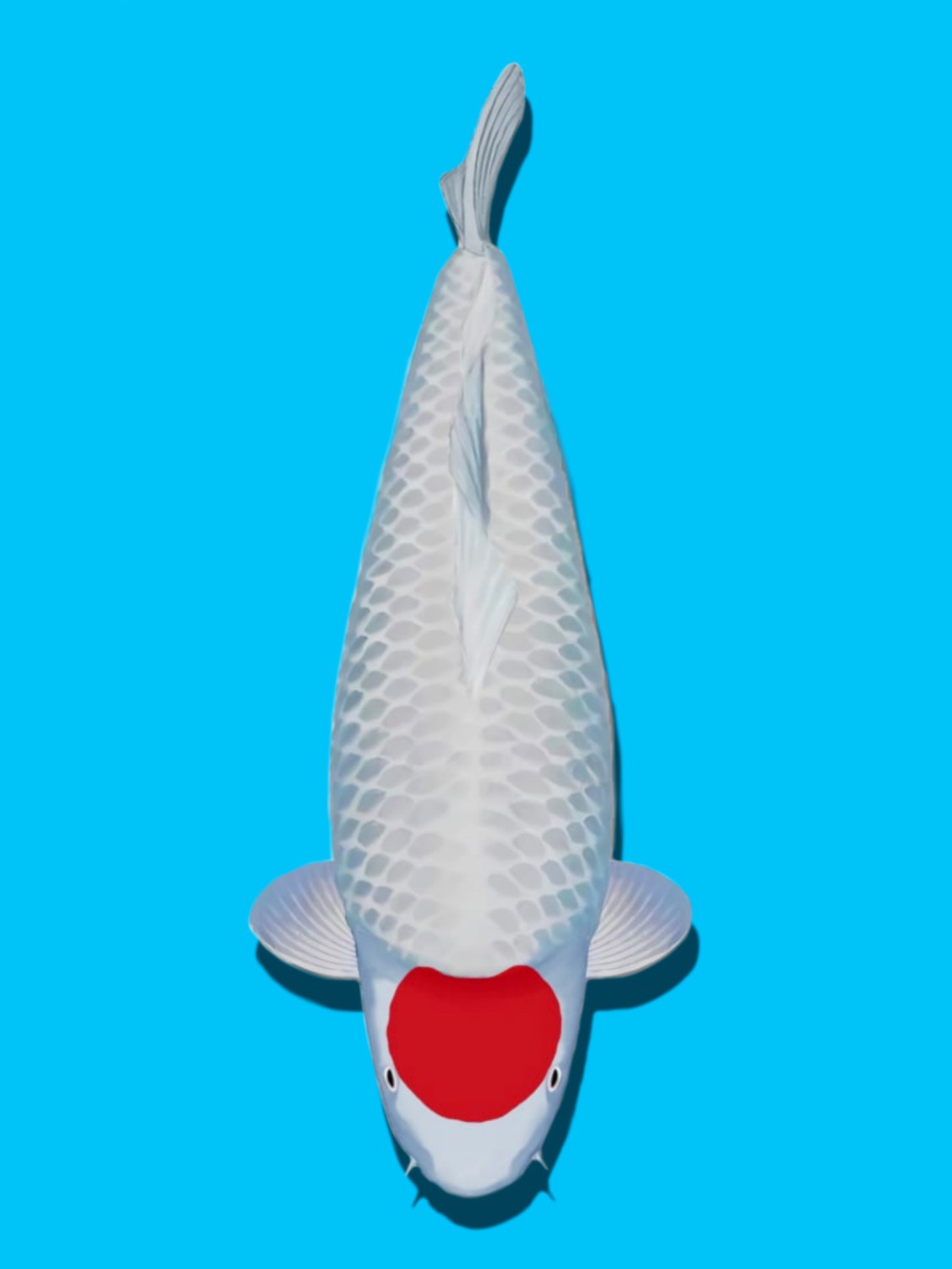 Juara 1