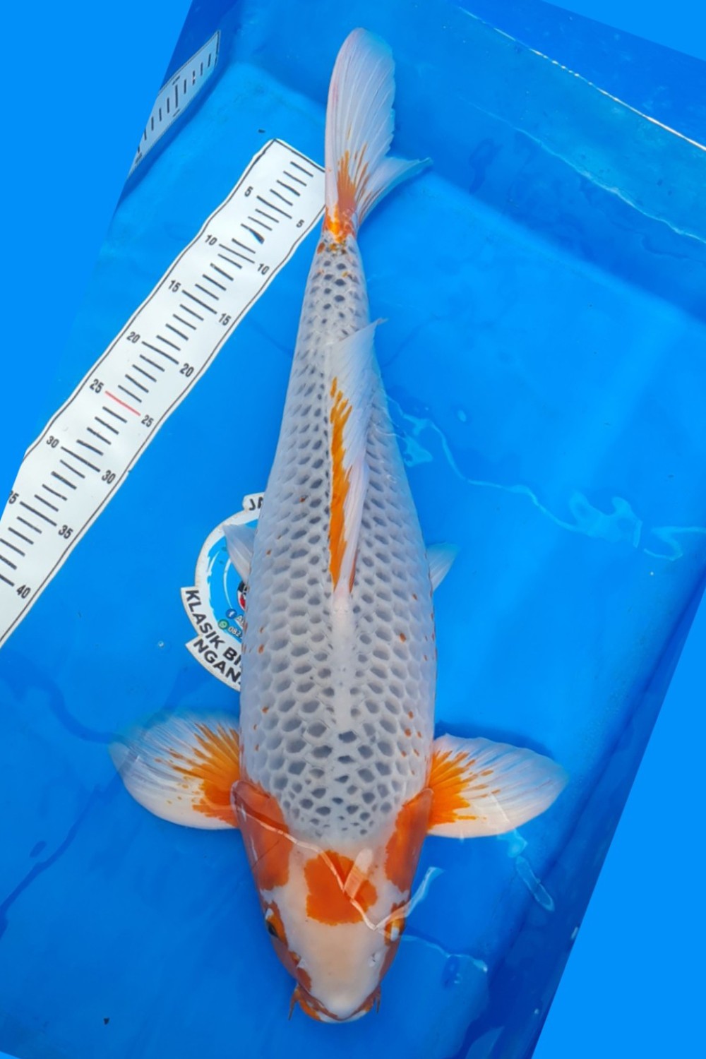 Juara 1