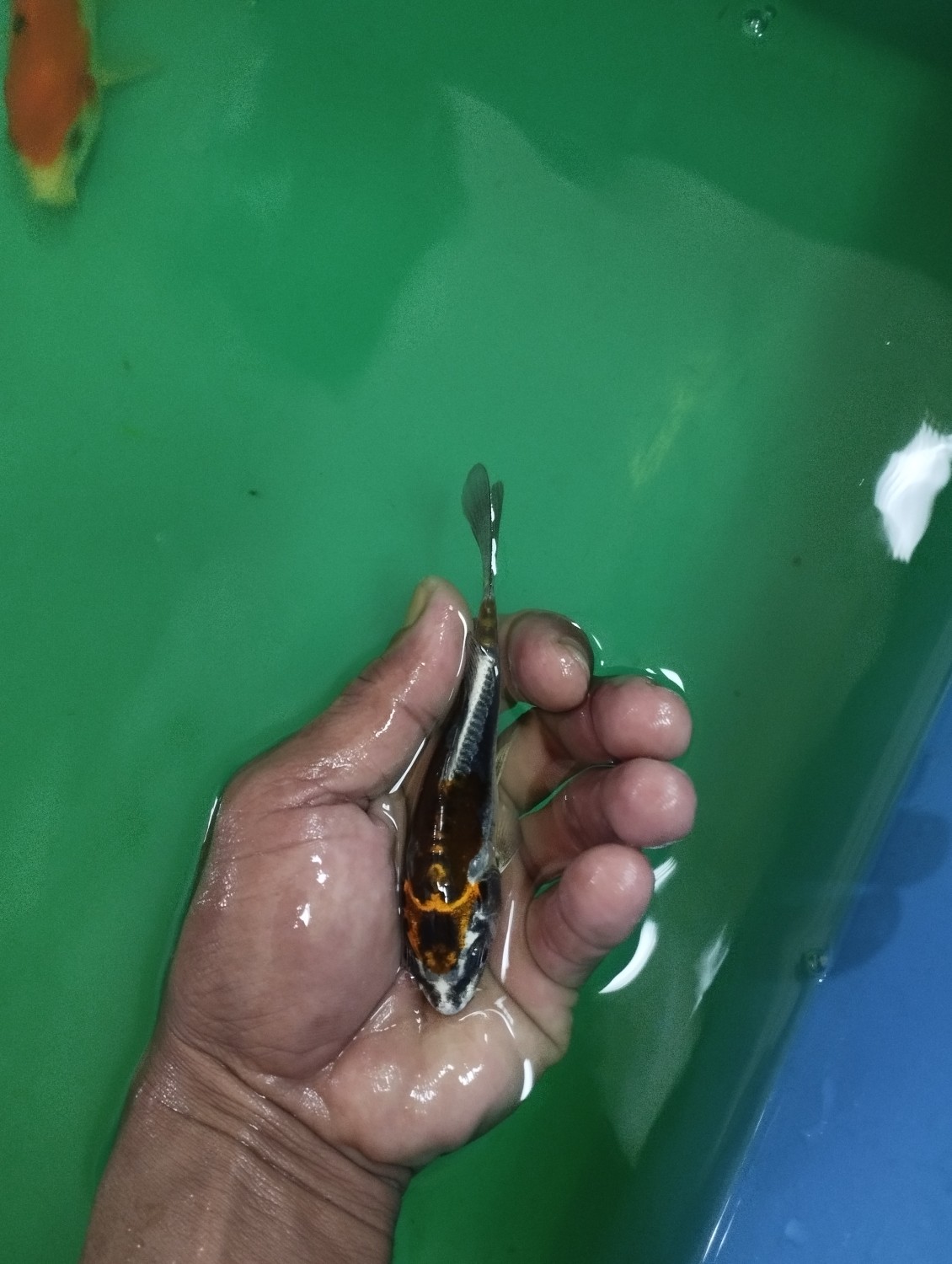 Juara 2
