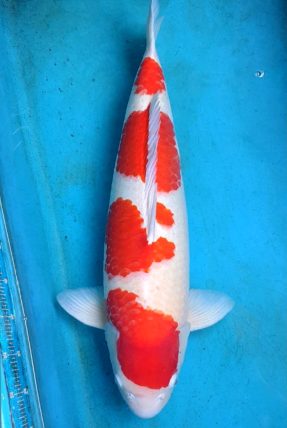 Juara 2