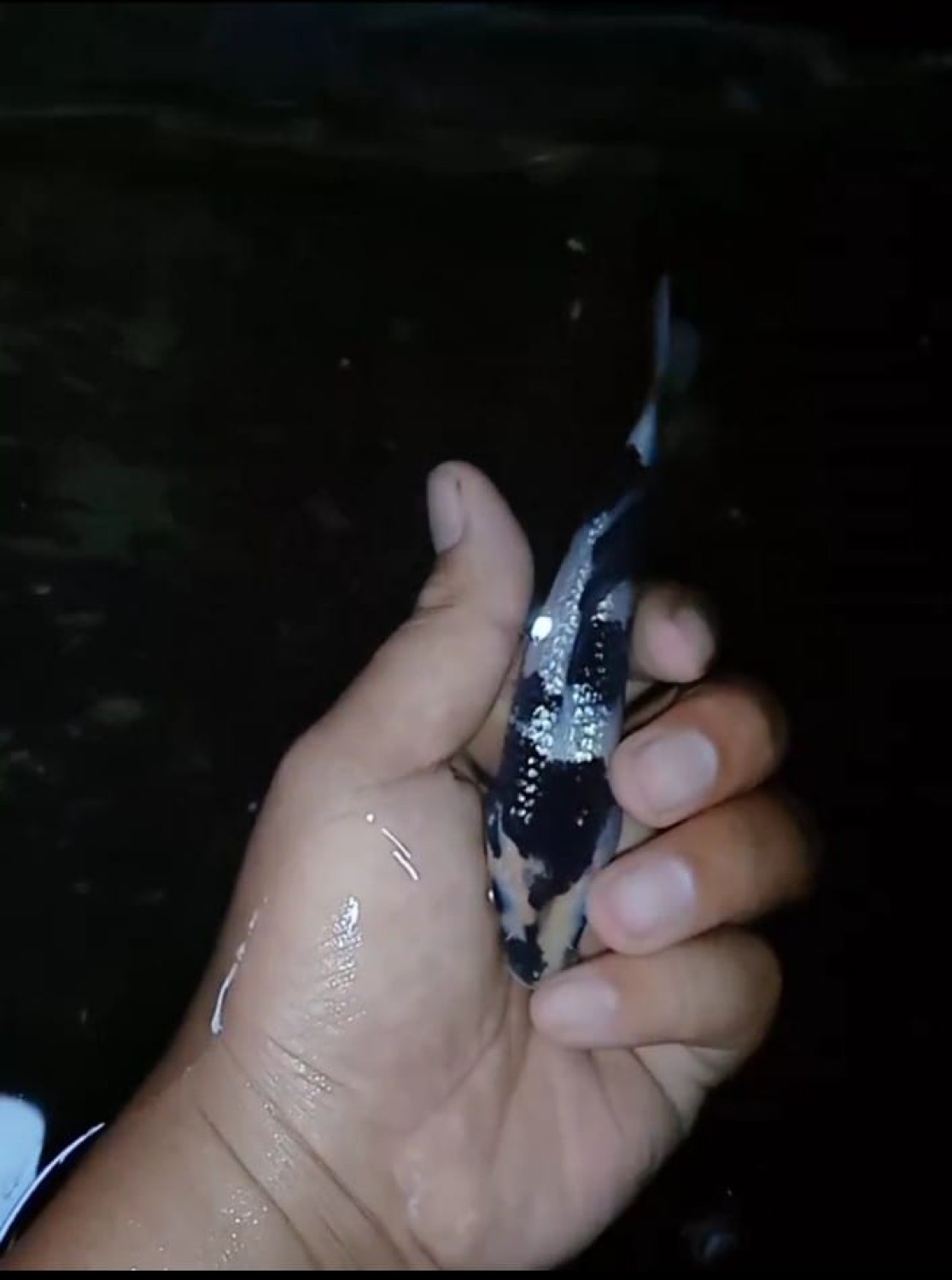 Juara 2