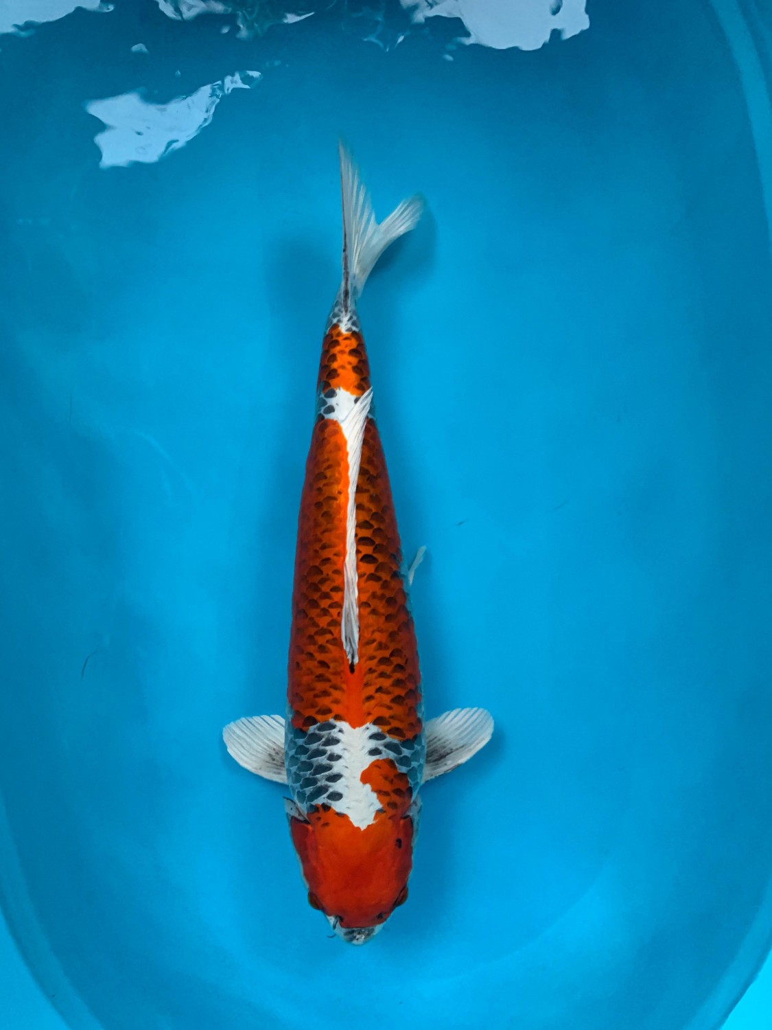Juara 1