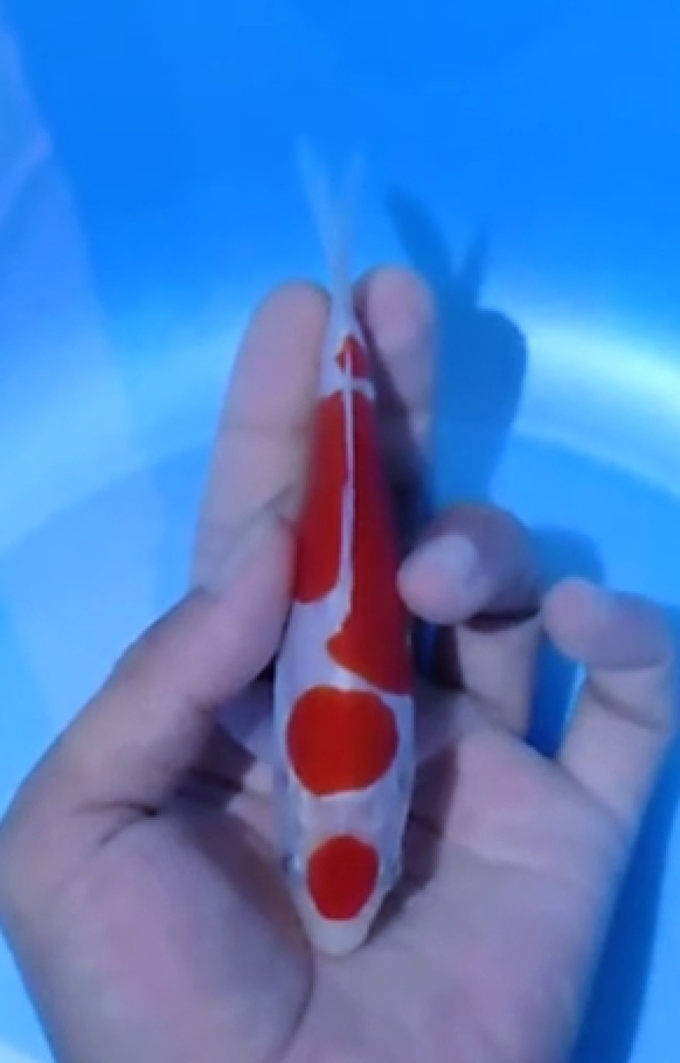 Juara 2
