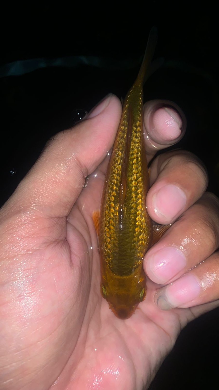 Best In Size E Up To 12 cm