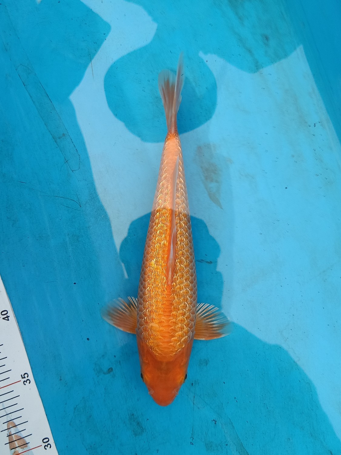 Juara 2