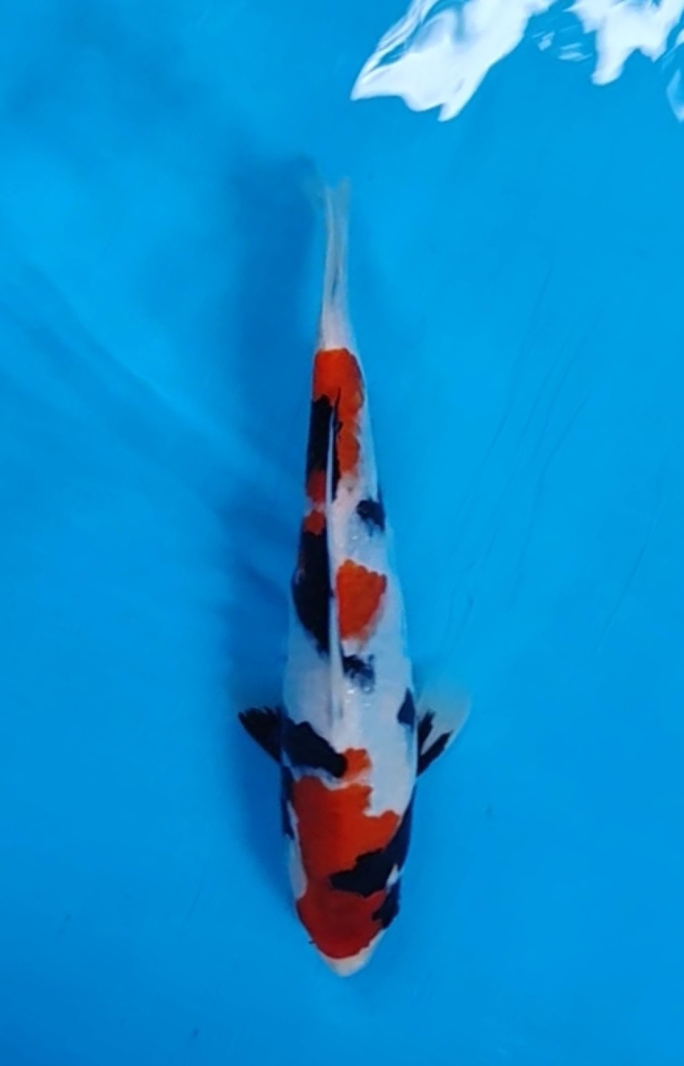 Juara 2