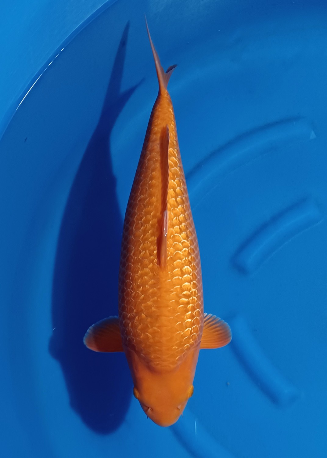 Juara 2