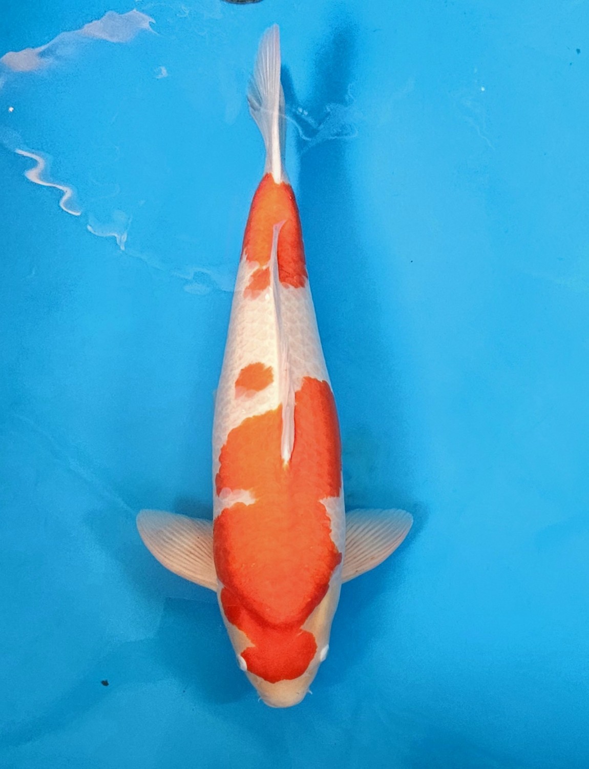 Juara 2