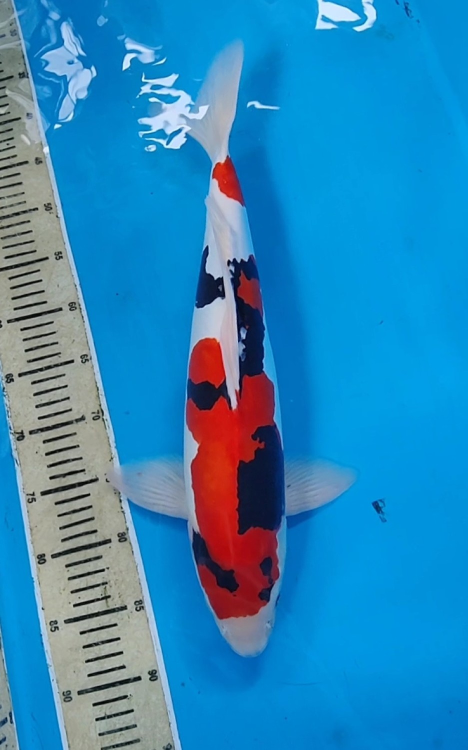 Juara 2