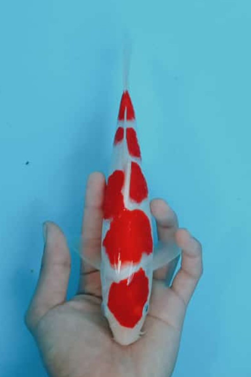 Juara 2