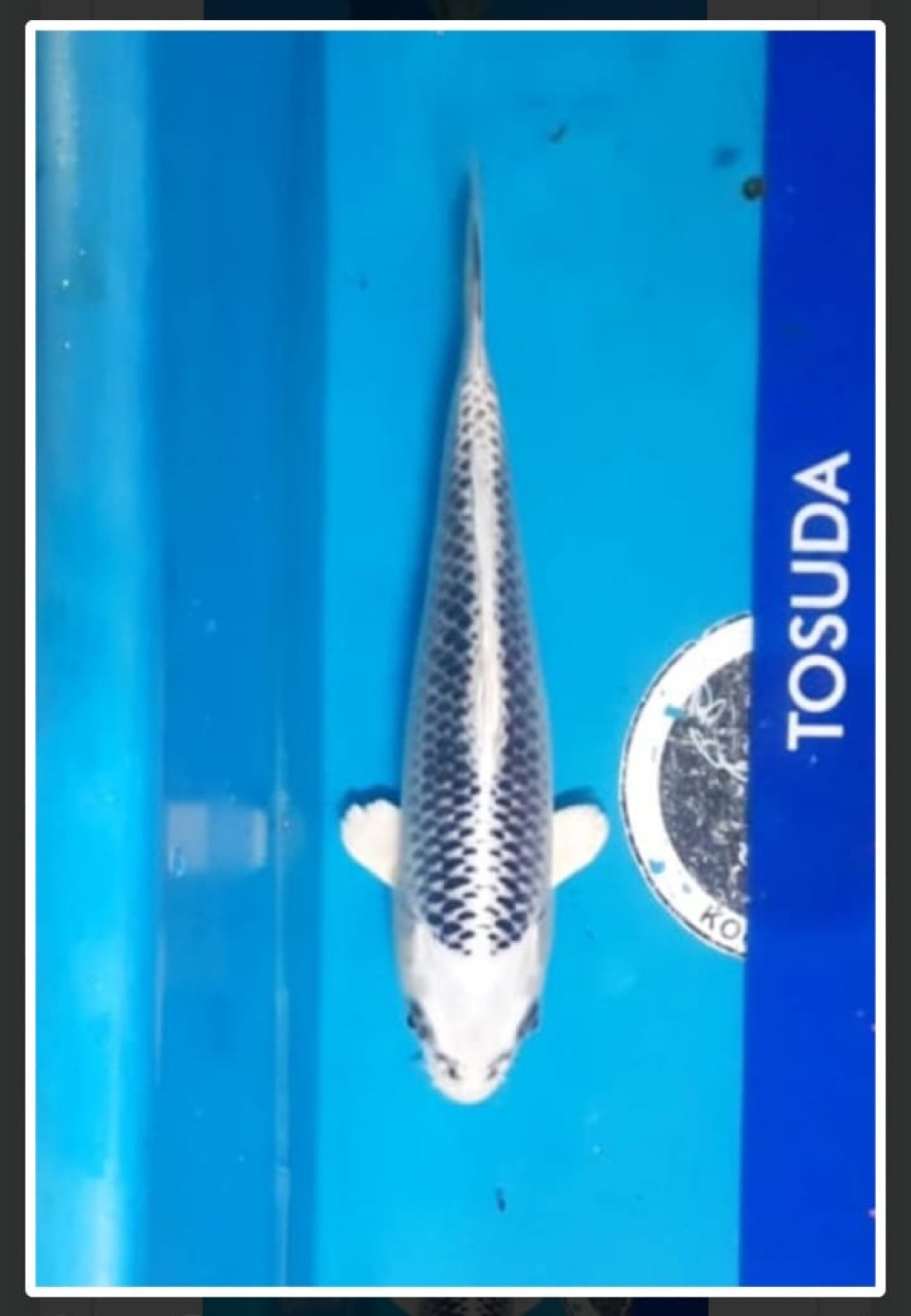Juara 1