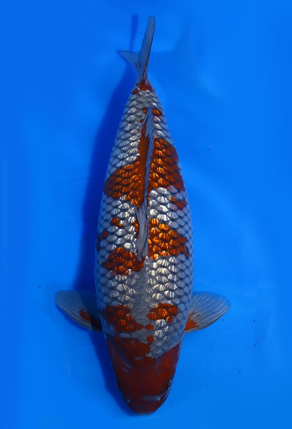 Juara 2
