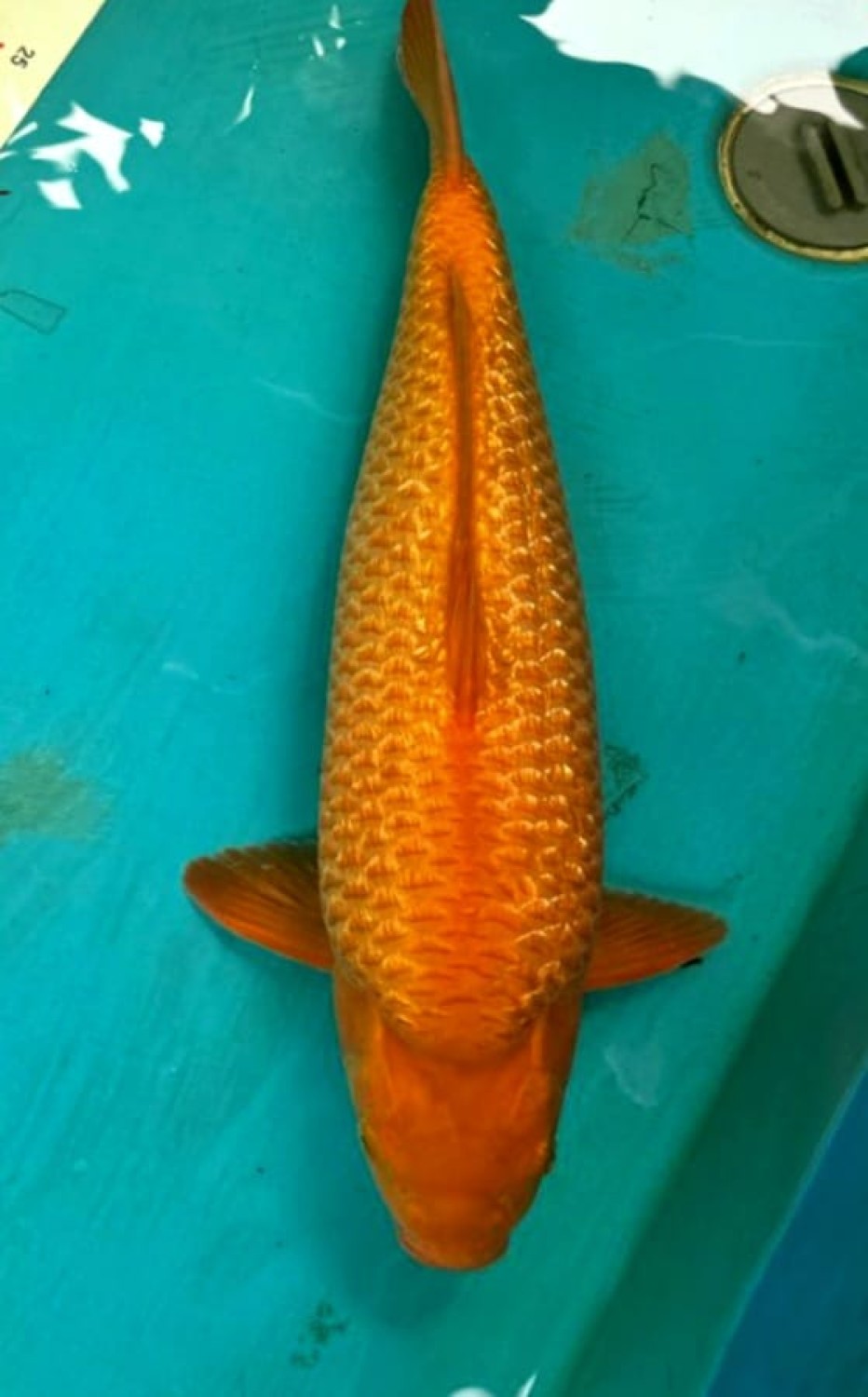 Juara 2