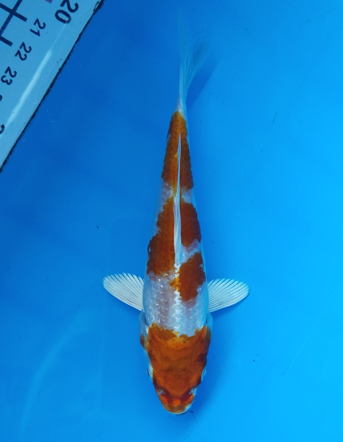 Juara 3